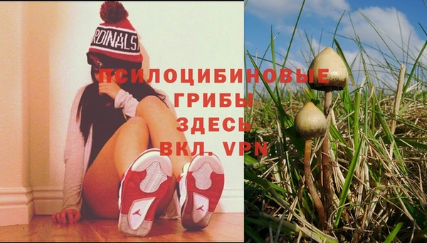 кокаин колумбия Козловка