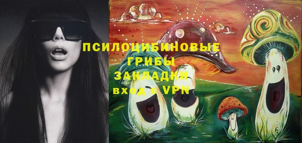 Альфа ПВП Козельск
