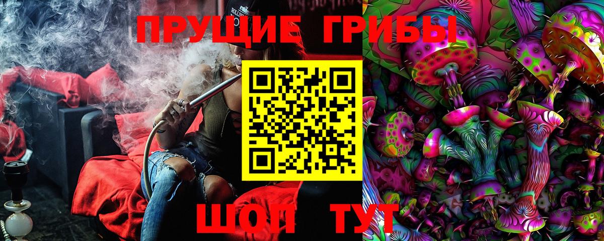 Галлюциногенные грибы Psilocybe  Екатеринбург  Псилоцибиновые грибы GOLDEN TEACHER 