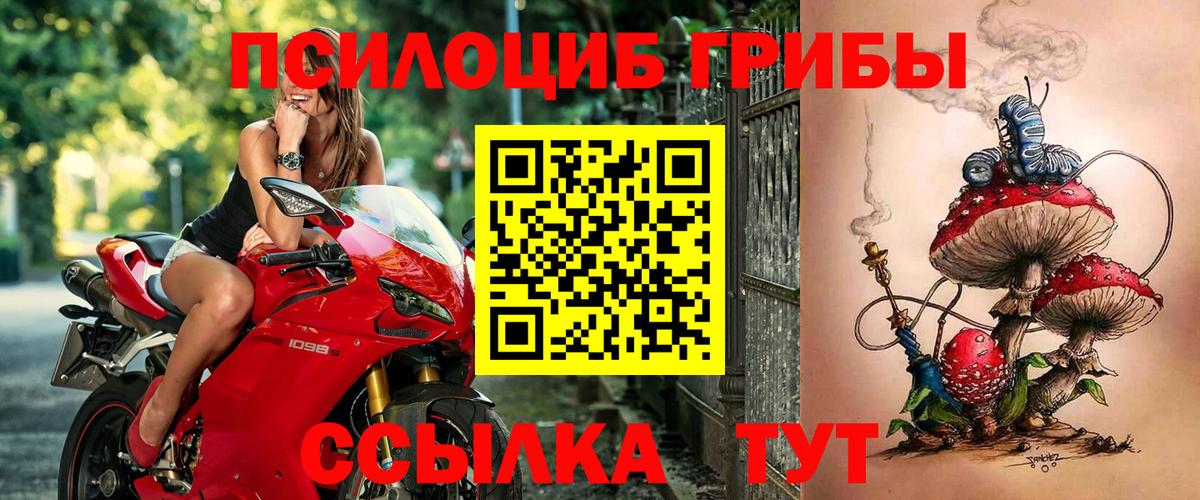 Галлюциногенные грибы прущие грибы Екатеринбург