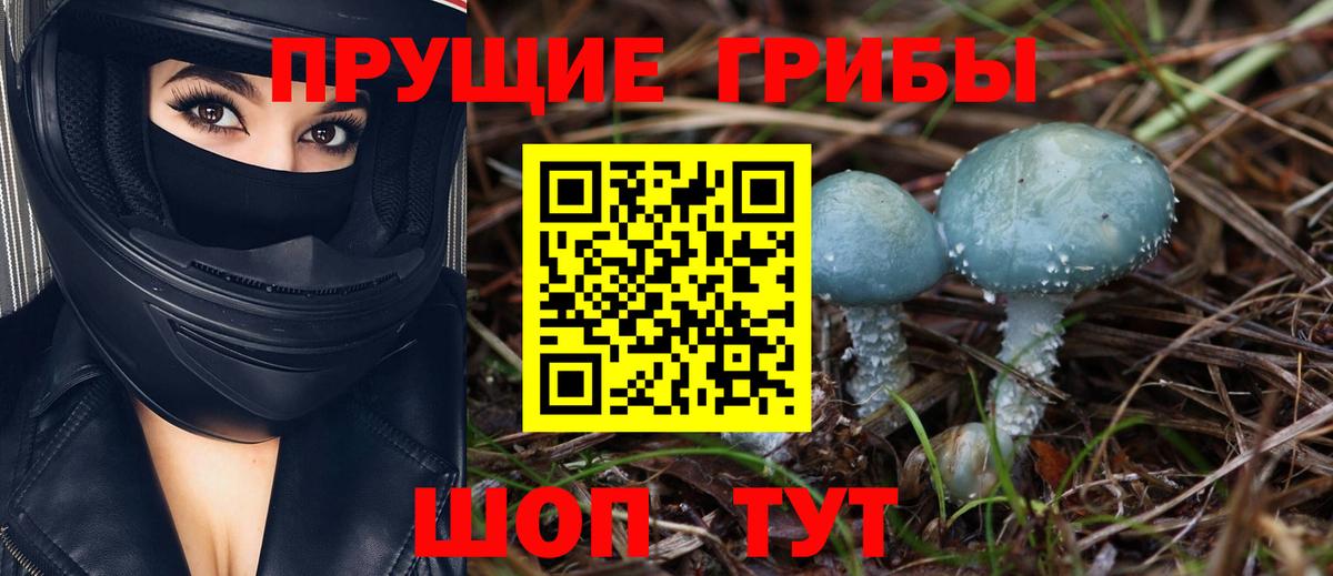 Галлюциногенные грибы Cubensis Екатеринбург